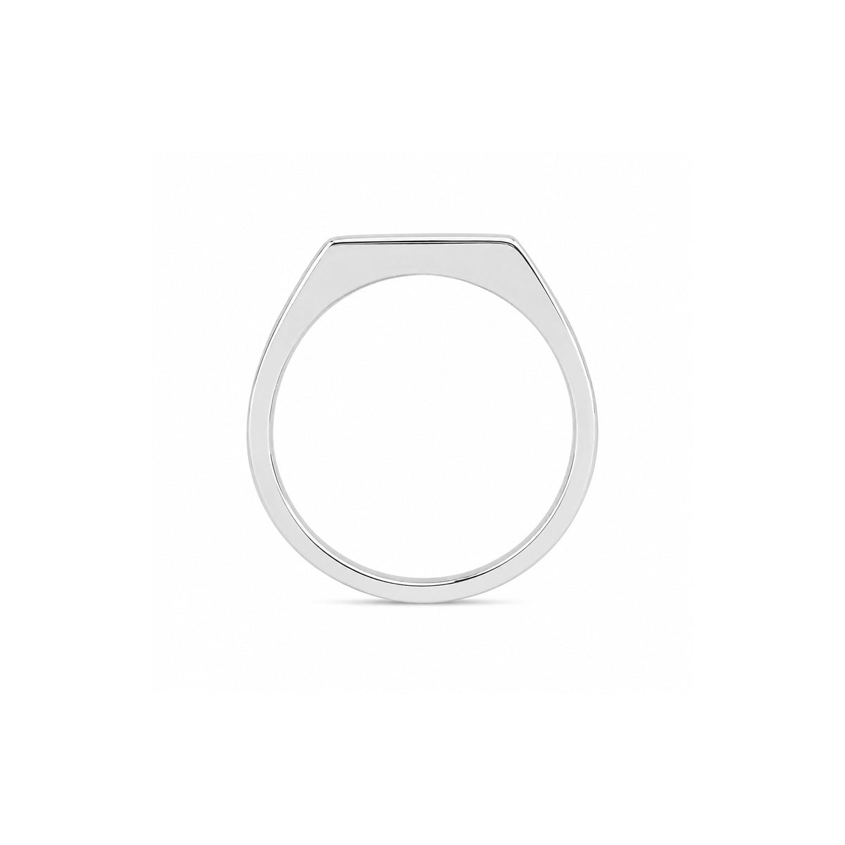 Elegant Black & White Stone Silver Ring