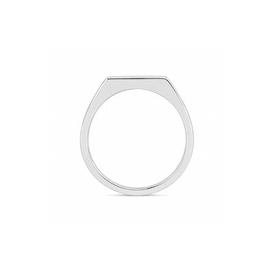 Elegant Black & White Stone Silver Ring