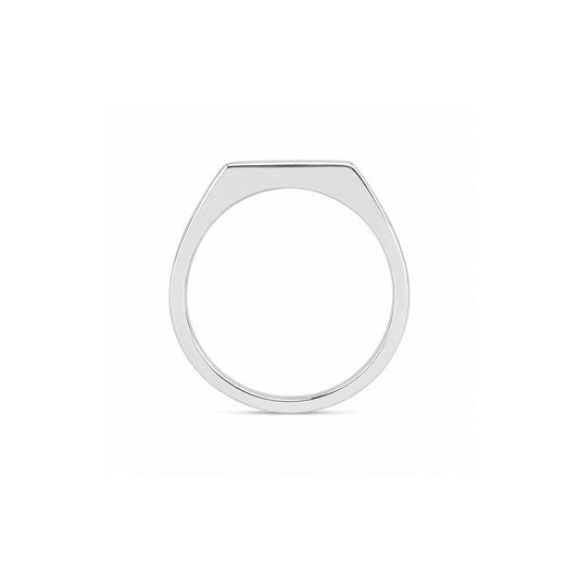 Elegant Black & White Stone Silver Ring